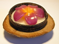 ndc01_02.JPG